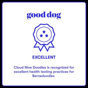 Gooddog.com Breeder Badge of Excellence